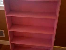 Freecycle Girl's Bookshelf