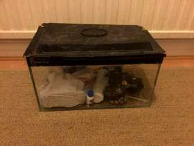 Freecycle Fish Tank