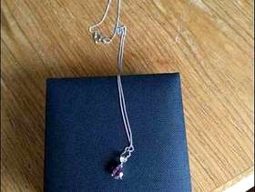 Freecycle Sterling silver Amethyst necklace