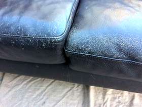 Freecycle Natuzi Leather two seat sofa