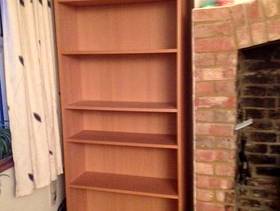 Freecycle Bookcase