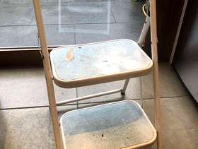 Freecycle Two step ladder