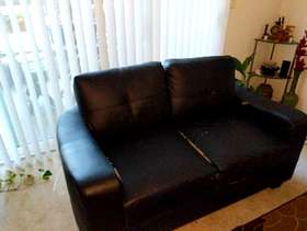 Freecycle 2 seater and 3 seater vegan couches