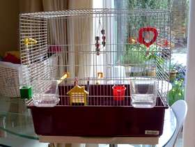 Freecycle Bird cage