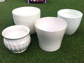 Freecycle 4 inside white ceramic plant pots