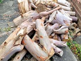Freecycle Free logs