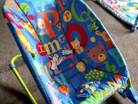Freecycle Bouncy chair