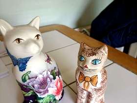 Freecycle Cat onment