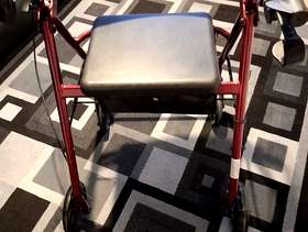 Freecycle Walker