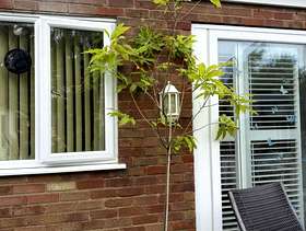 Freecycle Walnut Tree