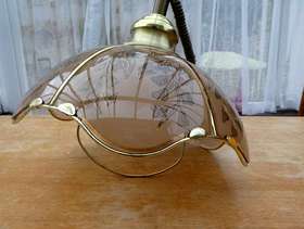 Freecycle Decorative light fitting- single bulb