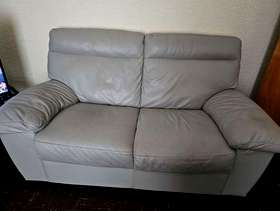 Freecycle 2 setter sofa