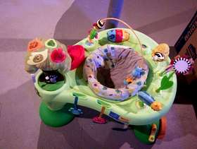 Freecycle Baby Exersaucer