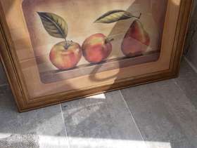Freecycle Picture