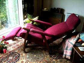 Freecycle 'Bodiline Popular' Reclining Chair