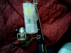 Freecycle Reel n rod