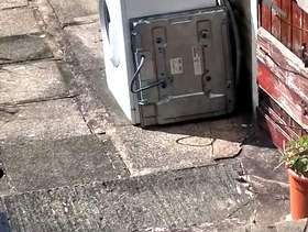 Freecycle Washing machine and cooker hob