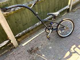 Freecycle Ditto One tag along bike
