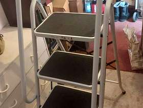 Freecycle Sturdy step ladder