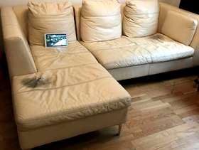 Freecycle Sofa