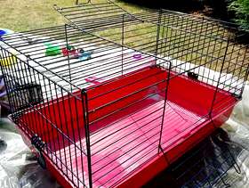 Freecycle Indoor rodent cage.