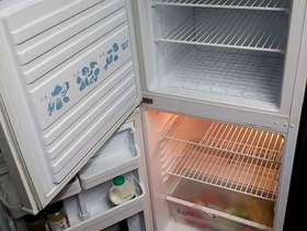 Freecycle Fridge freezer