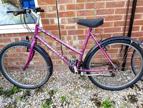 Freecycle Girls/women bike