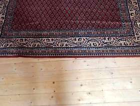 Freecycle Persian style rug