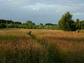 Freecycle Free Standing Hay