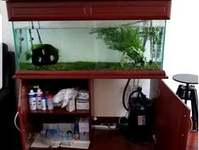 Freecycle Aquarium - Collection Only. Whole Unit