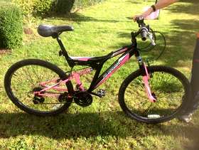 Freecycle Ladies mountain bike