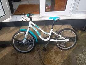 Freecycle Apollo oceana junior mountain bike