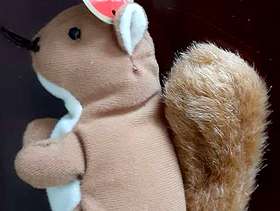 Freecycle TY Beanie Babies