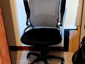 Freecycle Office chair, with arms