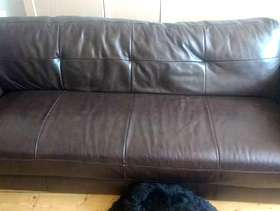 Freecycle Brown Leather Sofa