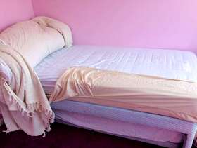 Freecycle Single bed with trundle