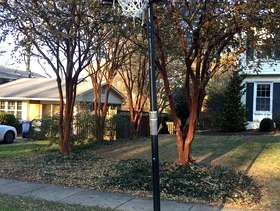 Freecycle Basketball Hoop