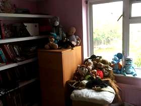 Freecycle Toys teddies books