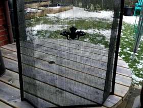 Freecycle Fire guard