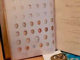 Freecycle Natural history