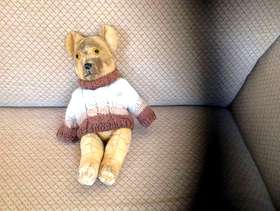 Freecycle Old teddy bear