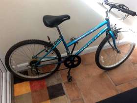Freecycle Girls bicycle