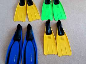 Freecycle Swimming Flippers