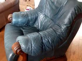 Freecycle Leather armchair