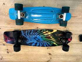 Freecycle 2 Skateboards