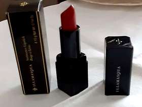 Freecycle Illamasqua Antimatter Lipstick