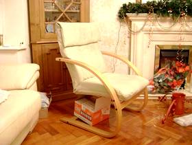 Freecycle Ikea Chair