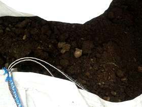 Freecycle Soil for garden