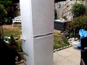 Freecycle Fridge/freezer 50/50