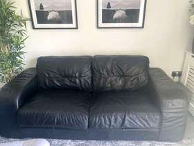 Freecycle Leather Sofa